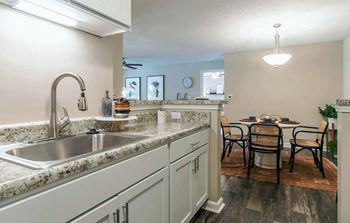 Retractable Goose Neck Faucet at Indigo Apartments, Gainesville, Georgia